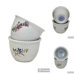 Set of 2 BIA Cordon Bleu Custard Cups Bowls Flowers Frieda Collection